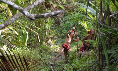 Zdjecie INDONEZJA / Sumatra / Siberut / Trekk