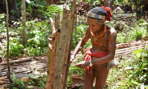 Zdjecie INDONEZJA / Sumatra / Siberut / Trekk