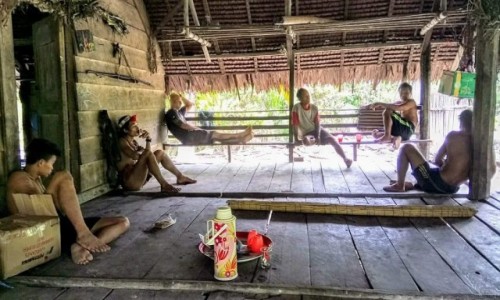 Zdjecie INDONEZJA / Sumatra / Siberut / Trekk