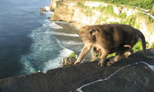 Zdjecie INDONEZJA / Sumba / Sumba / Mapka
