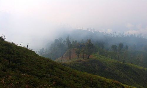 Zdjecie INDONEZJA / Jawa / Surabaya / okolice Surabaya