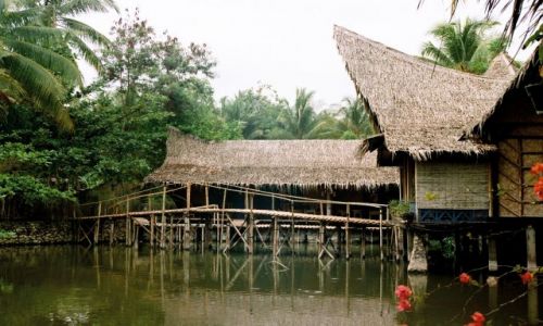 Zdjecie INDONEZJA / Jawa / hotel w Pandarandan / hotel na wodzie