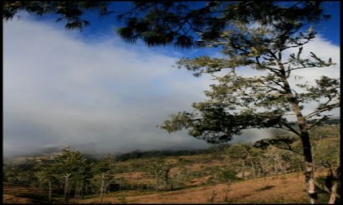 Zdjecie INDONEZJA / Lombok / Gunung Rinjani / spacer w chmurach