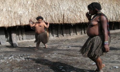 Zdjecie INDONEZJA / brak / Papua /  