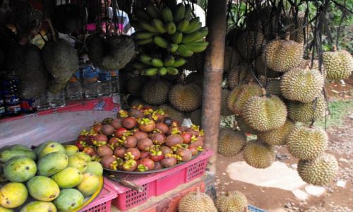 Zdjecie INDONEZJA / Bali / gdzieś na trasie / wcale nie takie paskudne Duriany