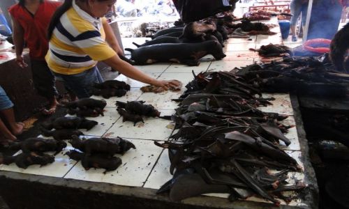 Zdjecie INDONEZJA / Sulawesi / Tomohon  / Na targu