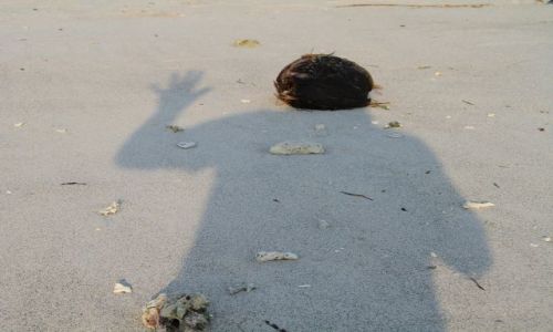Zdjecie INDONEZJA / Indonezja / Gili Trawangan / Kokos