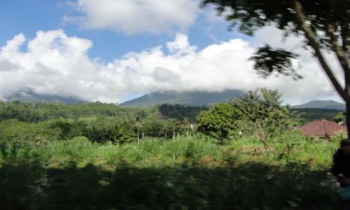 Zdjecie INDONEZJA / Bali  / Kuta / NATURA