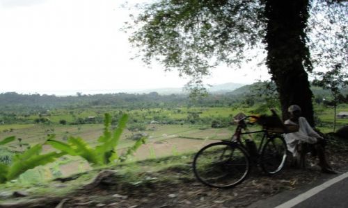 Zdjecie INDONEZJA / Bali  / Kuta / TRANSPORT