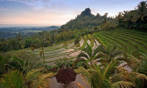 Zdjecie INDONEZJA / Bali /      / 6