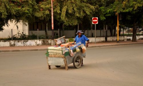 Zdjcie INDONEZJA / Demokratyczna Republika Timor Leste / Dili / Pan z wzkiem