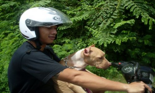 INDONEZJA / Bali / p�lwysep Badung / ... ja i m�j Pan....