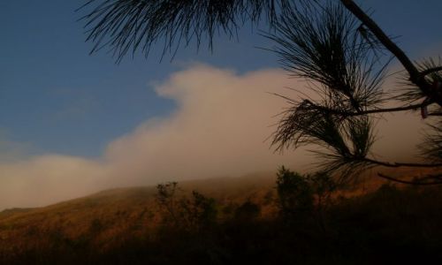 Zdjęcie INDONEZJA / Bali / Mt. Batur / ... pod kraterem....