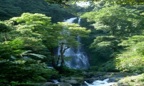 Zdjęcie INDONEZJA / Bali / Singaraja, okolice / ... szum wodospadu....