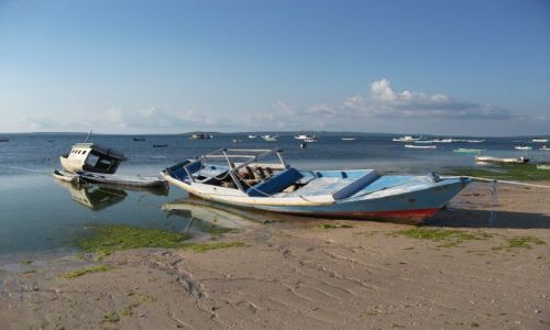 Zdjcie INDONEZJA / Timor Zachodni / Tablolong / ... w linii...