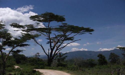 Zdjcie INDONEZJA / Timor Zachodni / okolice Soe / ... off road ...