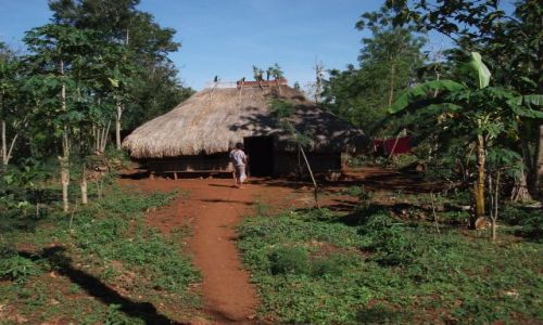 Zdjecie INDONEZJA / Timor Zachodni / okolice Soe / ... typowe domostwo w rodkowej czci wyspy....