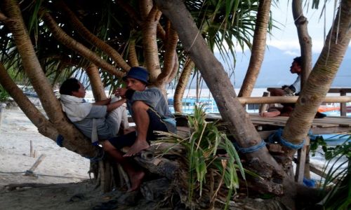 Zdjecie INDONEZJA / Gili Air / Gili Air / ... sjesta ...