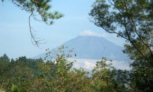 Zdjęcie INDONEZJA / - / Borobodur / Merapi