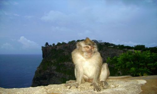 Zdjecie INDONEZJA / Bali / wiatynia  Pura Luhur Ulu Watu / ja te czekam na zachd soca!