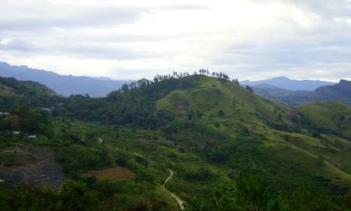 Zdjęcie INDONEZJA / Sulawesi / w drodze do Tana Toradja / zielone wzgórza Sulawesi
