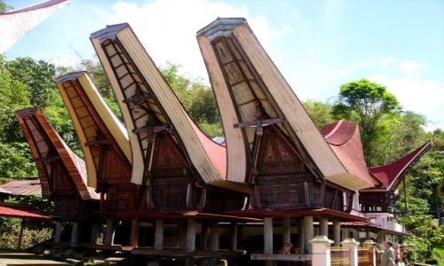 Zdjecie INDONEZJA / Sulawesi Poudniowe / okolice Rantepao / domy Toradjw o niezwykych dachach