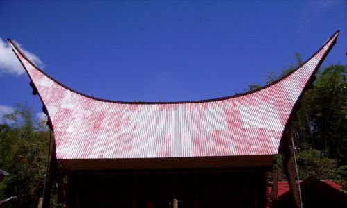 Zdjęcie INDONEZJA / Sulawesi Południowe / okolice wioski Palava / i nowy dach