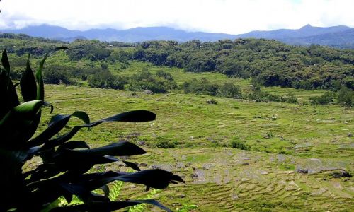 Zdjęcie INDONEZJA / Sulawesi Południowe / okolice wioski Lempo / panorama z punktu widokowego