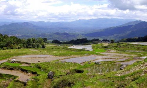 Zdjcie INDONEZJA / Sulawesi Poudniowe / okolice Rantepao / panorama
