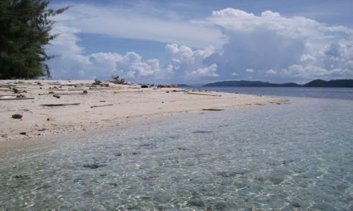 Zdjcie INDONEZJA / Togian Islands (Sulawesi) / Kadidiri / ... wyspa na rafie ...