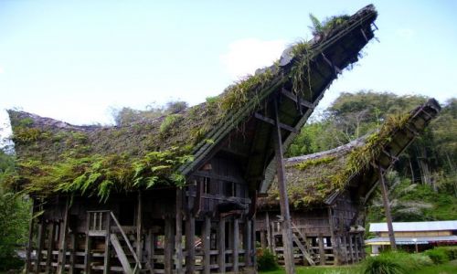 Zdjecie INDONEZJA / Sulawesi Poudniowe / kraina Tana Toradja - okolice Lemo / opuszczone domostwa Toradjw