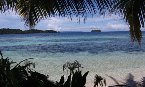 Zdjecie INDONEZJA / Togian Islands (Sulawesi) / Kadidiri / ... dungla na play ...