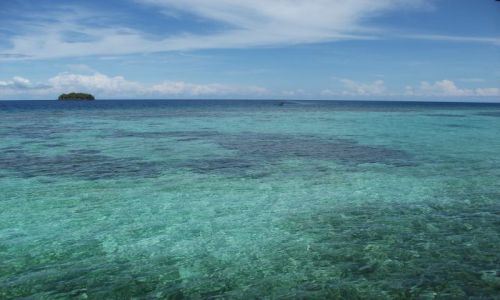 Zdjcie INDONEZJA / Togian Islands (Sulawesi) / Kadidiri / ... lawirowanie ....