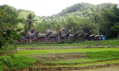 Zdjcie INDONEZJA / Sulawesi Poudniowe / kraina Tana Toradja / wioska Toradjw