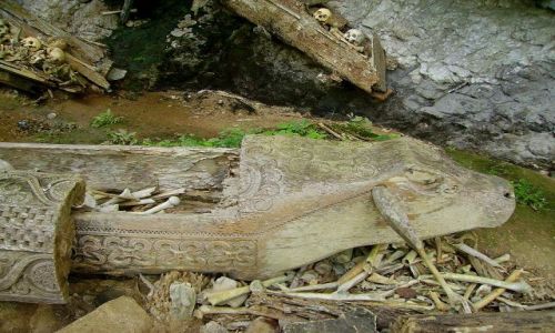 Zdjecie INDONEZJA / Sulawesi Poudniowe / Kete-Kesu / trumna mczyzny
