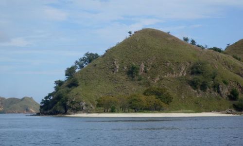 Zdjęcie INDONEZJA / Flores / Labuanbajo... okolice ... / ... plaża przy rafie ...
