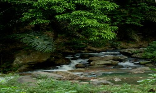 Zdjęcie INDONEZJA / Flores / okolice Mt. Inerie / ... gorący strumień...