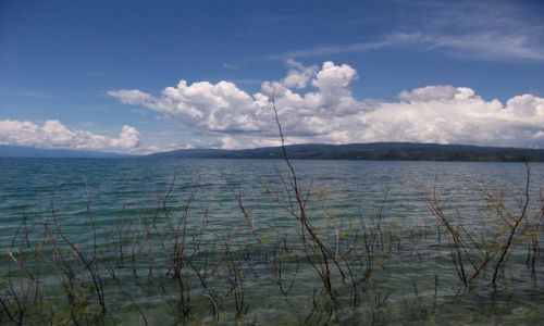 Zdjcie INDONEZJA / Sulawesi (Celebes) / Pendolo, jezioro Poso / ... brodzc przy brzegu ...