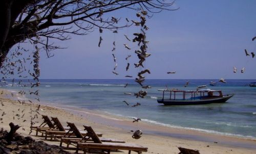 Zdjcie INDONEZJA / wysepka Gili Air / Gili Air / plaa na Gili Air