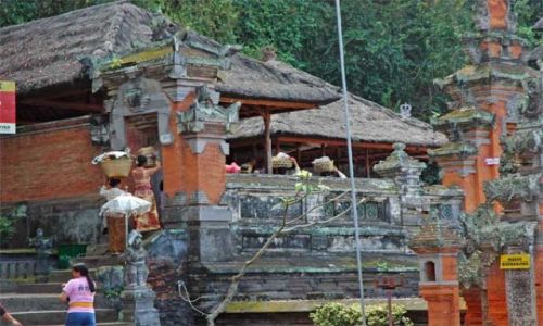 Zdjęcie INDONEZJA / Bali / Pura Goa Lawah / Pola ryżowe