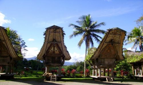 Zdjcie INDONEZJA / Sulawesi Poudniowe / Kete Kesu / wioska Kete Kesu
