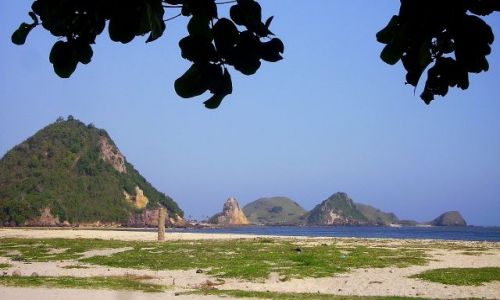 Zdjcie INDONEZJA / wyspa Lombok / wioska Kuta Beach / pusta plaa zaprasza