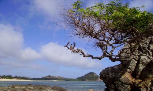 Zdjecie INDONEZJA / wyspa Lombok / wioska Kuta Beach / ronie na skace