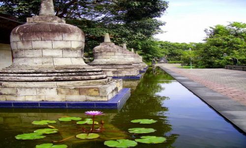 Zdjecie INDONEZJA / Jawa / Jawa / w maej wityni  pod drodze do Prambanan