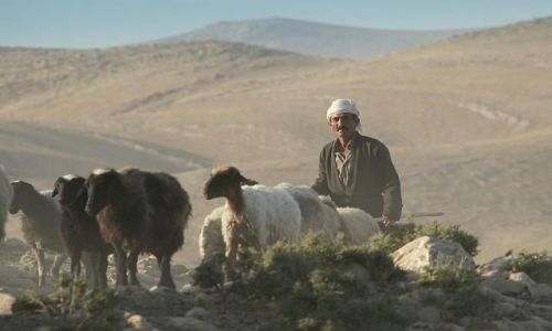 Zdjecie IRAK / Kurdystan / Bazian / Pasterz