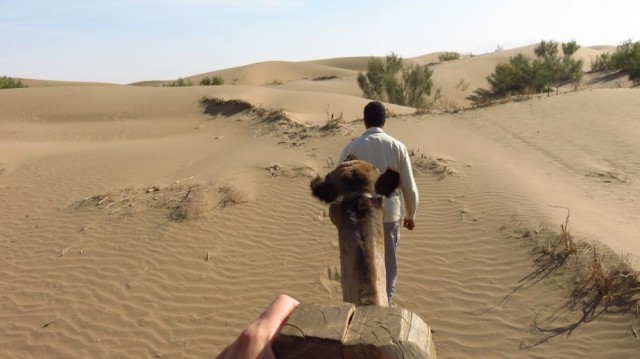 Zdj cia: Farahzad - centrum kraju, Jazda na wielbłądzie , IRAN Zdj cia: Farahzad - centrum kraju, Jazda na wielbłądzie , IRAN