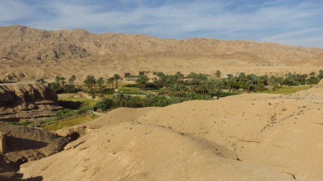 Zdj cia: Okolice Tabas, Oaza Ezmirghan, IRAN Zdj cia: Okolice Tabas, Oaza Ezmirghan, IRAN