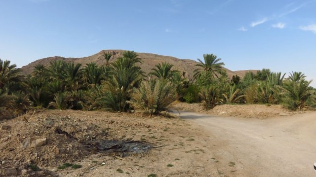 Zdj cia: Pustynia Dasht-e Kavir, Garmeh - oaza, IRAN Zdj cia: Pustynia Dasht-e Kavir, Garmeh - oaza, IRAN