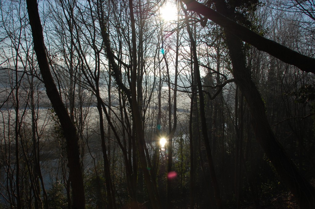 Zdjęcia: Marlfield., Poludnie., IRLANDIA Zdjęcia: Marlfield., Poludnie., IRLANDIA