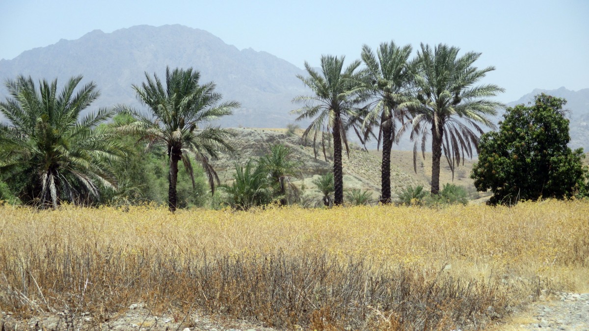 Zdjęcia: Dolina rzeki Rudan, Rudan, Afrykańskie klimaty, IRAN Zdjęcia: Dolina rzeki Rudan, Rudan, Afrykańskie klimaty, IRAN